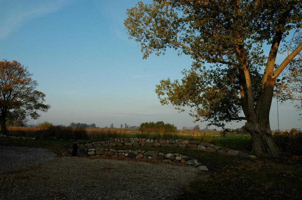 Bed And Breakfast Alokke Nyborg Ruang foto