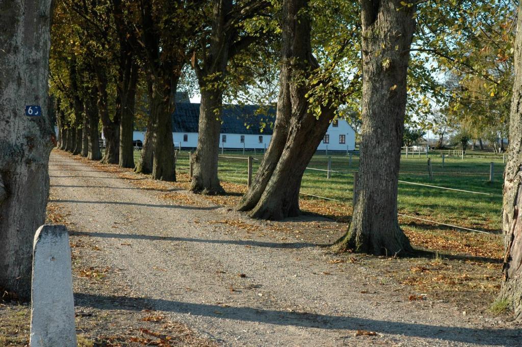 Bed And Breakfast Alokke Nyborg Ruang foto