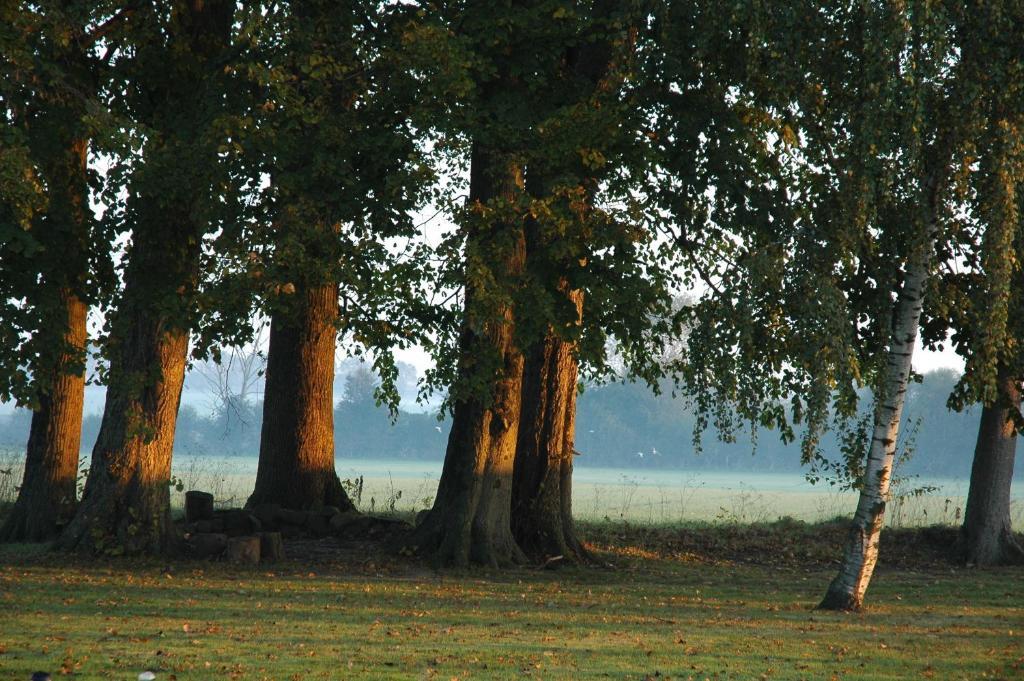 Bed And Breakfast Alokke Nyborg Ruang foto